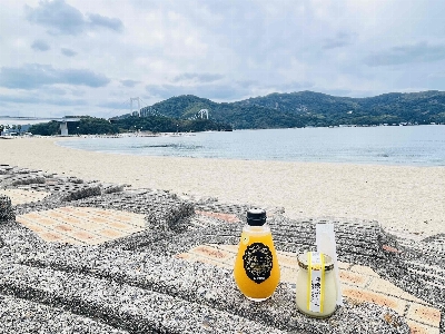 Photo from 2024/10/31