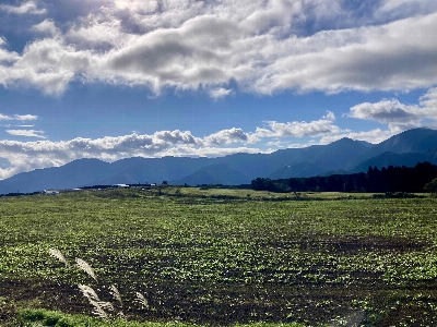 Photo from 2024/10/20