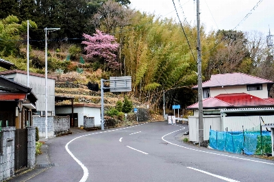 Photo from 2025/3/15