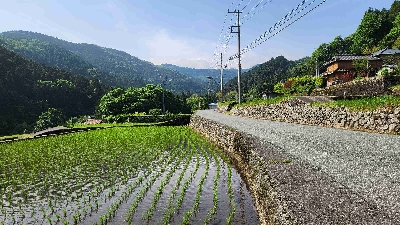 Photo from 2025/5/19