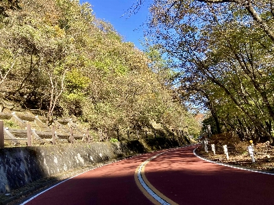 Photo from 2024/11/9