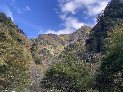 Photo from 2024/11/10