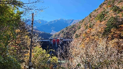 Photo from 2024/11/21