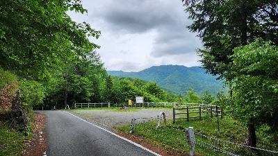 Photo from 2023/6/10