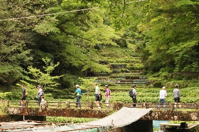 Photo from 2024/5/12