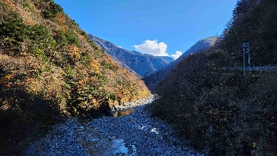 Photo from 2024/11/21