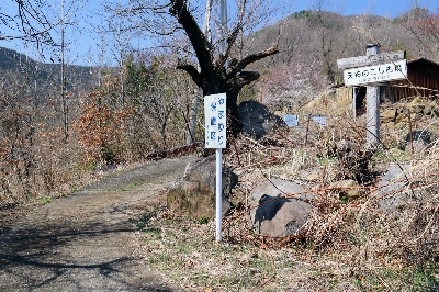 Photo from 2025/3/23