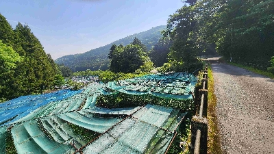 Photo from 2025/5/19