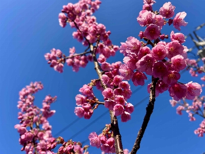 Photo from 2026/1/17