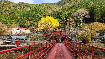 Photo from 2025/11/24