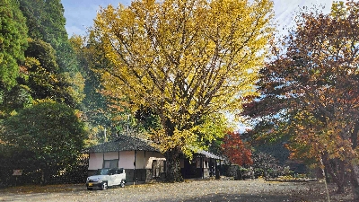 Photo from 2025/11/24