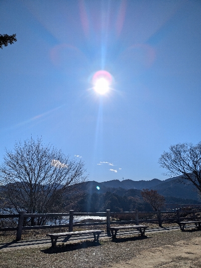 Photo from 2024/12/14