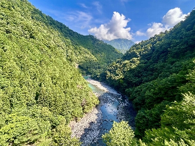 Photo from 2025/7/12