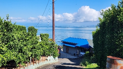 Photo from 2025/7/24