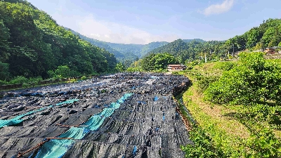 Photo from 2025/5/19