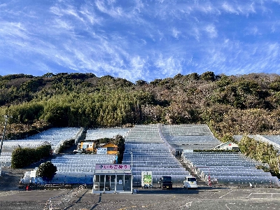 Photo from 2025/12/27