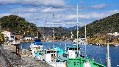 Photo from 2024/1/28