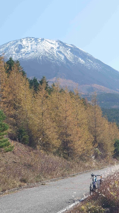 Photo from 2025/11/7