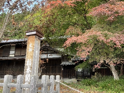 Photo from 2024/11/10