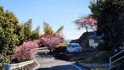 Photo from 2024/2/12