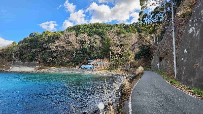 Photo from 2024/1/24