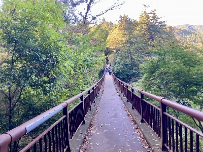 Photo from 2024/11/9