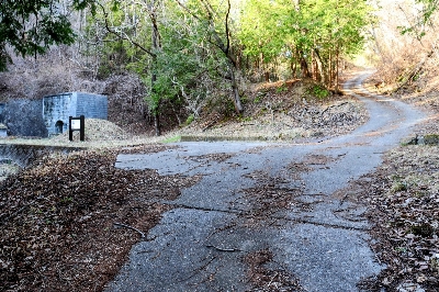 Photo from 2025/3/23