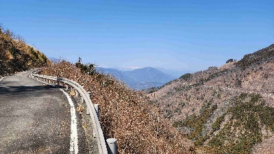 Photo from 2024/3/16