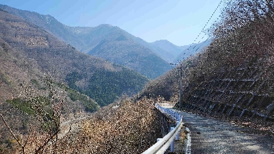 Photo from 2024/3/16