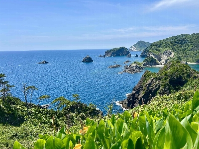 Photo from 2025/6/22