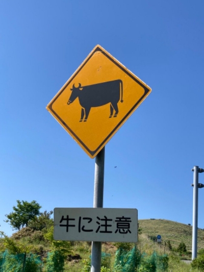 Photo from 2022/5/29