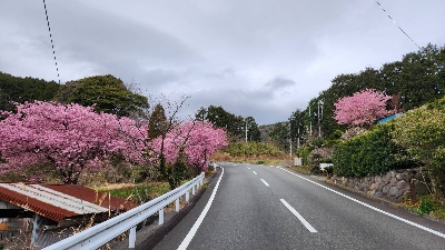 Photo from 2024/2/17