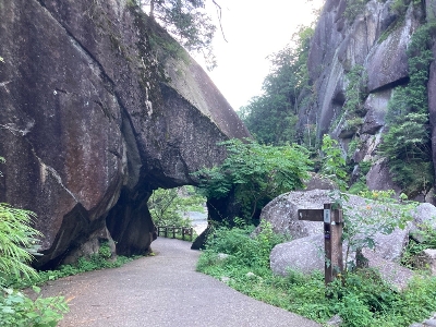 Photo from 2023/7/30