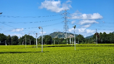 Photo from 2023/4/16