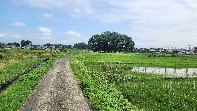 Photo from 2025/7/12