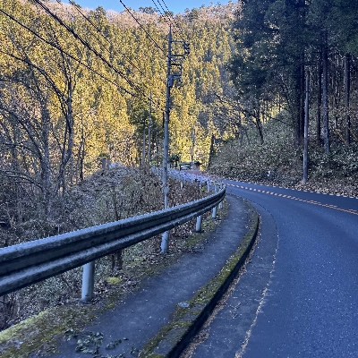 Photo from 2024/12/29