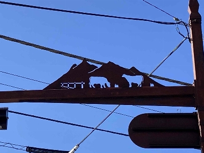 Photo from 2023/11/3