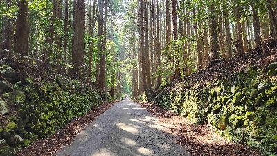 Photo from 2025/5/19