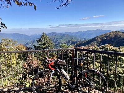 Photo from 2024/11/9