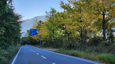 Photo from 2025/11/16