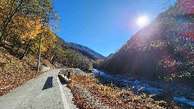 Photo from 2024/11/21