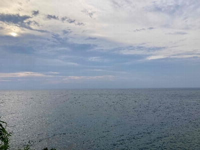 Photo from 2024/7/20