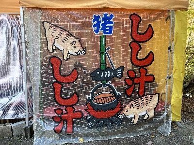 Photo from 2024/11/10