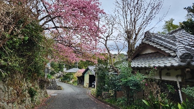 Photo from 2024/2/17