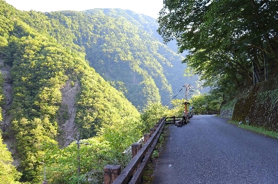 Photo from 2025/7/26