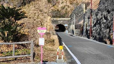 Photo from 2024/1/28