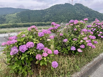 Photo from 2025/6/13