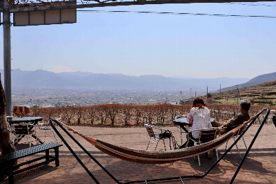 Photo from 2025/3/23