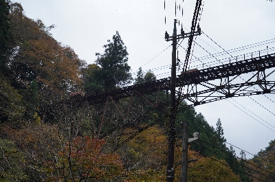 Photo from 2024/11/16