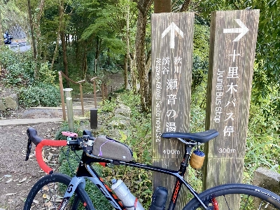 Photo from 2024/11/9